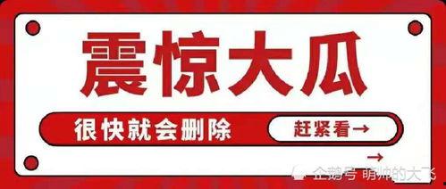 娱乐吃瓜八卦账号是什么,跟随吃瓜账号探寻明星幕后故事